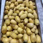رطب خلاص درجه اولى