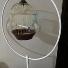 للبيع قفص عصفور مع الاستاند