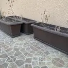 احواض زراعية