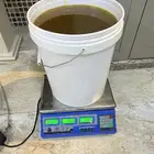 عسل اثل طعم ولون القريات