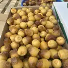 تمر سكري فاخر