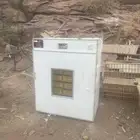 فقاسه تشيل 1056بيضه