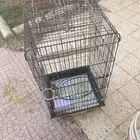 للبيع ثلاث اقفاص كبيره