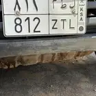 ل ط م