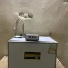 فقاسة بيض للبيع