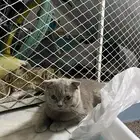 بسه العمر 3أشهر