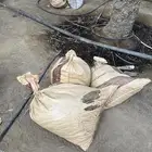 حشف تمر للحلال 60 كيس