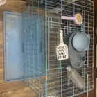 قفص قط   مع اغراض