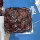 خلاص الخرج حق السنه هاذي