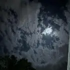 مطلوب وايت ال بي
