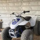 دباب