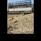 دينا طابقين نقل جميع مشاوير الحلال وغيرها داخل جيزان وخارجها