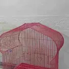 قفص عصفور 2 بي 220.