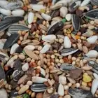 أكل روز فيشر كروان كوكتيل مع فيتامينات