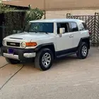 اف جي 2018 حكومي