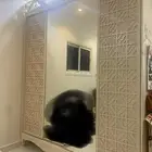 غرفة للبيع