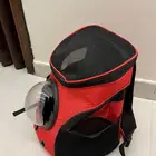 مستلزمات قطط