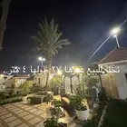 3 نخلات للبيع