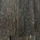 رقائق فيتنامي طبيعي