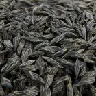 عود كمبودي تايقر طبيعي محسن فاخر (عرض طيب)