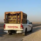 توصيل حلال و طيور و غيرها