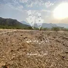 أرض للبيع بمخطط الجوفاء شمال رجال المع