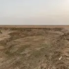سماد للبيع