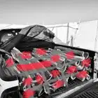 هايلقس حطب مستورد سسمر