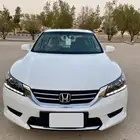 هونداء اكورد