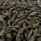 عود كلمنتان ملكي طبيعي محسن فاخر (عرض مؤقت)