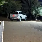 برادو2013
