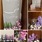 استقبال مولودة