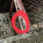 بطريات أرنب