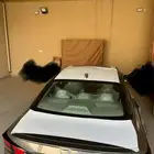 تجاليد وكالة التيما نص فل 2025