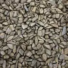 عود مروكي دقه بيور طبيعي محسن