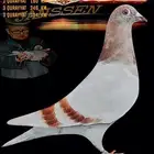 زاجل جانسن الأقزام خطوط السرعه