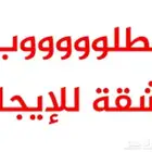 مطلوب شقه ضروري