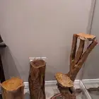 ديكور