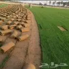تركيب ثيل طبيعي