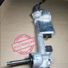 دودة دركسيون
