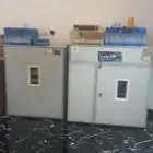 مصنع غربال لبيع الفقاسات والنتافات فل اتوماتيك