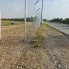مقاول شبوك وتوريد وزراعة النخيل بأقل الأسعار