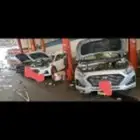 مكاين جنسس مكاين سوناتا كيا اوبتيما