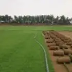 ثيل سي 2000 صافي وطبيعي جراده قولي