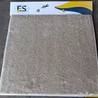 مو يت سادة تر ي