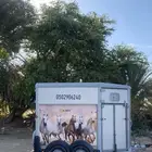 عربة نقل خيل نجران