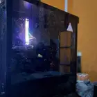 بيسي قيمنق متوسط