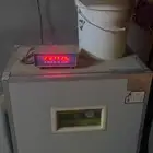 فقاصة عون المربي