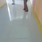 دھان