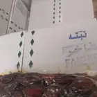 تمور رخيصة الثمن نبتة ومتنوعه